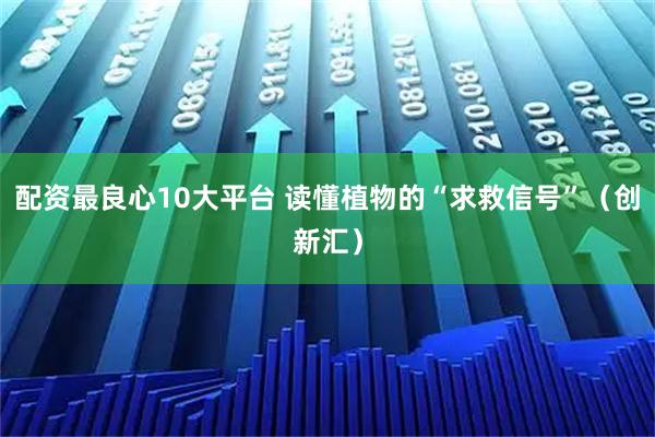 配资最良心10大平台 读懂植物的“求救信号”（创新汇）